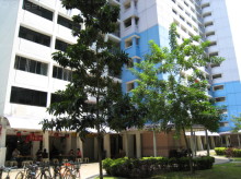Blk 78 Indus Road (Bukit Merah), HDB 3 Rooms #145452